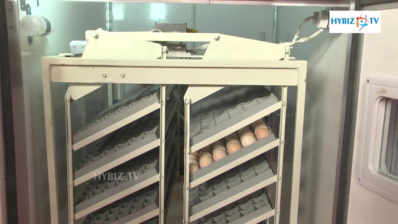 Hyderabad Poultry Equipments | Poultry Equipments Exporter And Manufacturer | Poultry India 2015