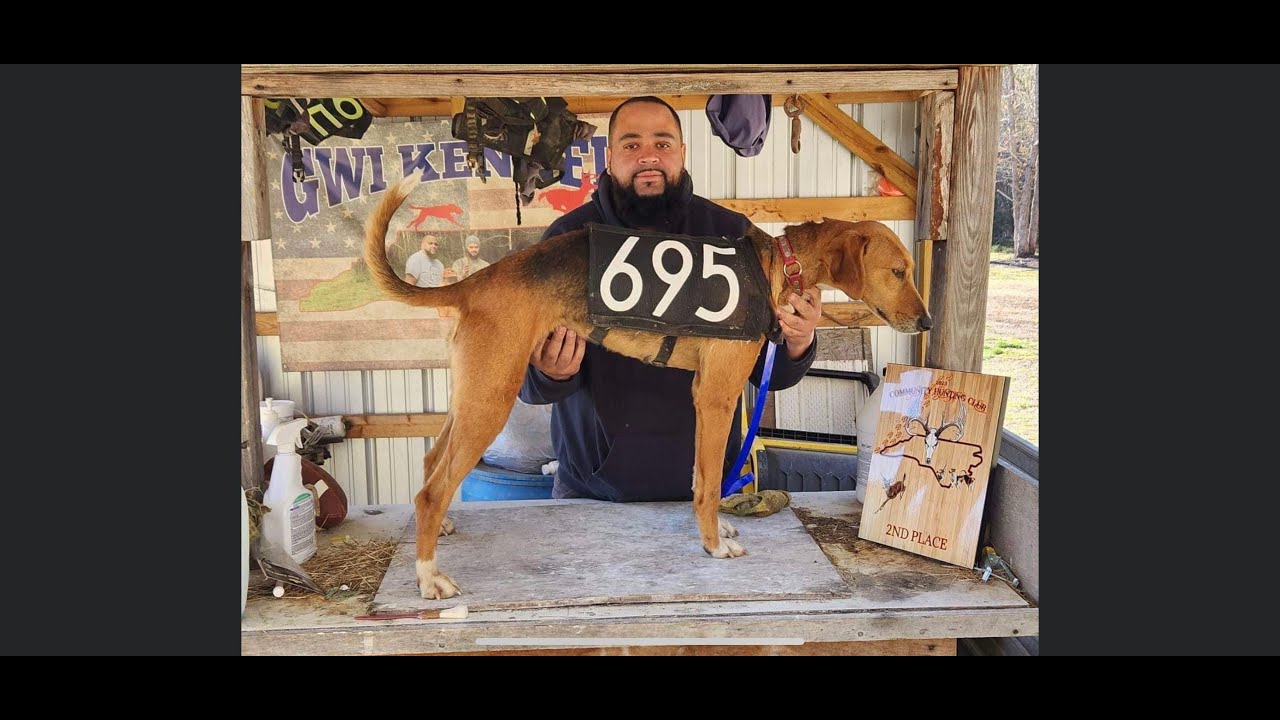 2023 Community Hunt Club Outside Field Trial (347 DOGS) - 3/18/2023