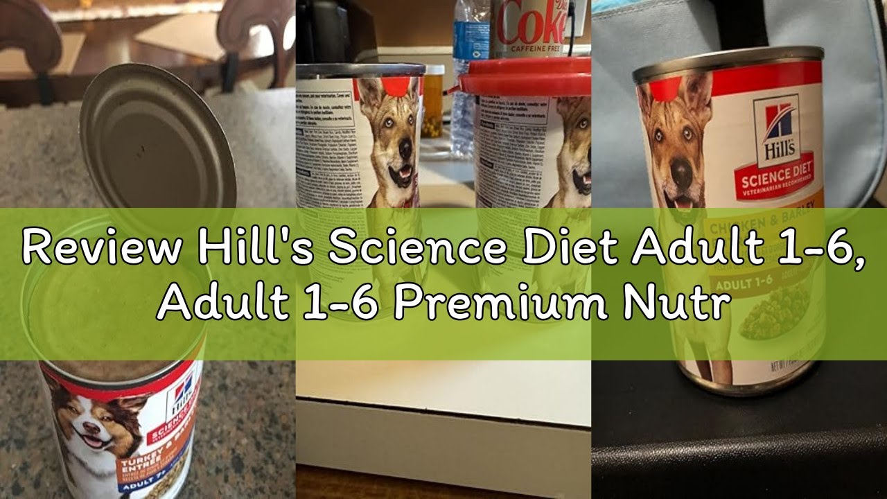 Review Hill's Science Diet Adult 1-6, Adult 1-6 Premium Nutrition, Wet Dog Food, Beef & Vegetables S