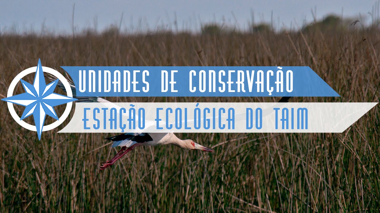 Estação Ecológica do Taim - Episódio 1