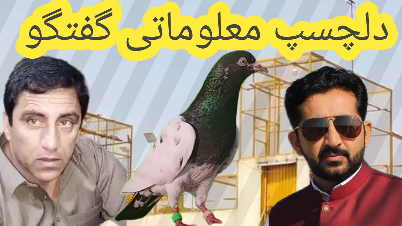Ustad Mithu Lali Chiniot, Ustad Muntarez Mehdi and Ustad Malik Mubashir Khokhar Lahore pigeons