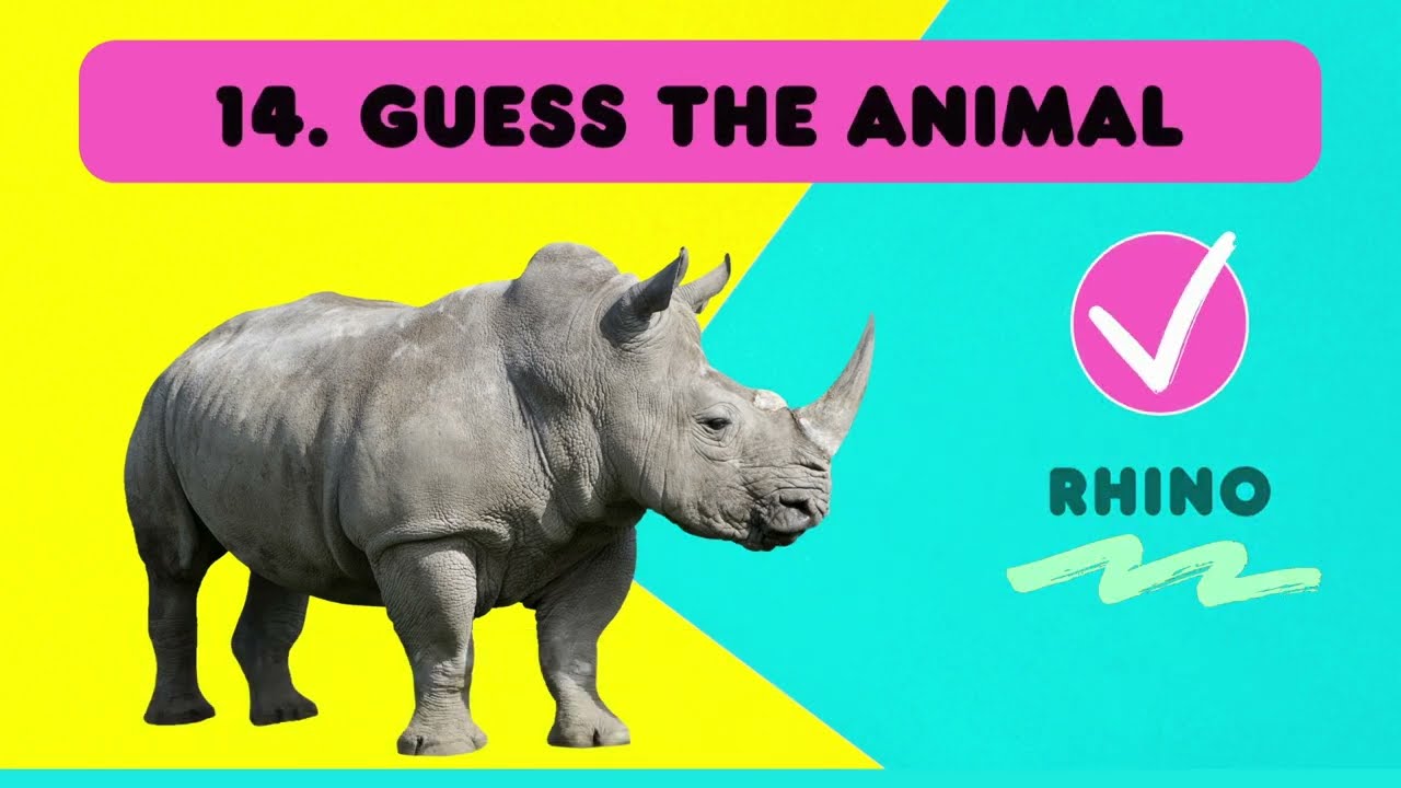 Guess the ANIMAL l Animal Expert Quiz, easy, medium and HARD!