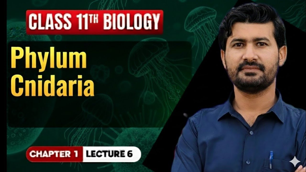 Phylum Cnidaria Bioogy class 11 chapter 1 | Irtisams biology