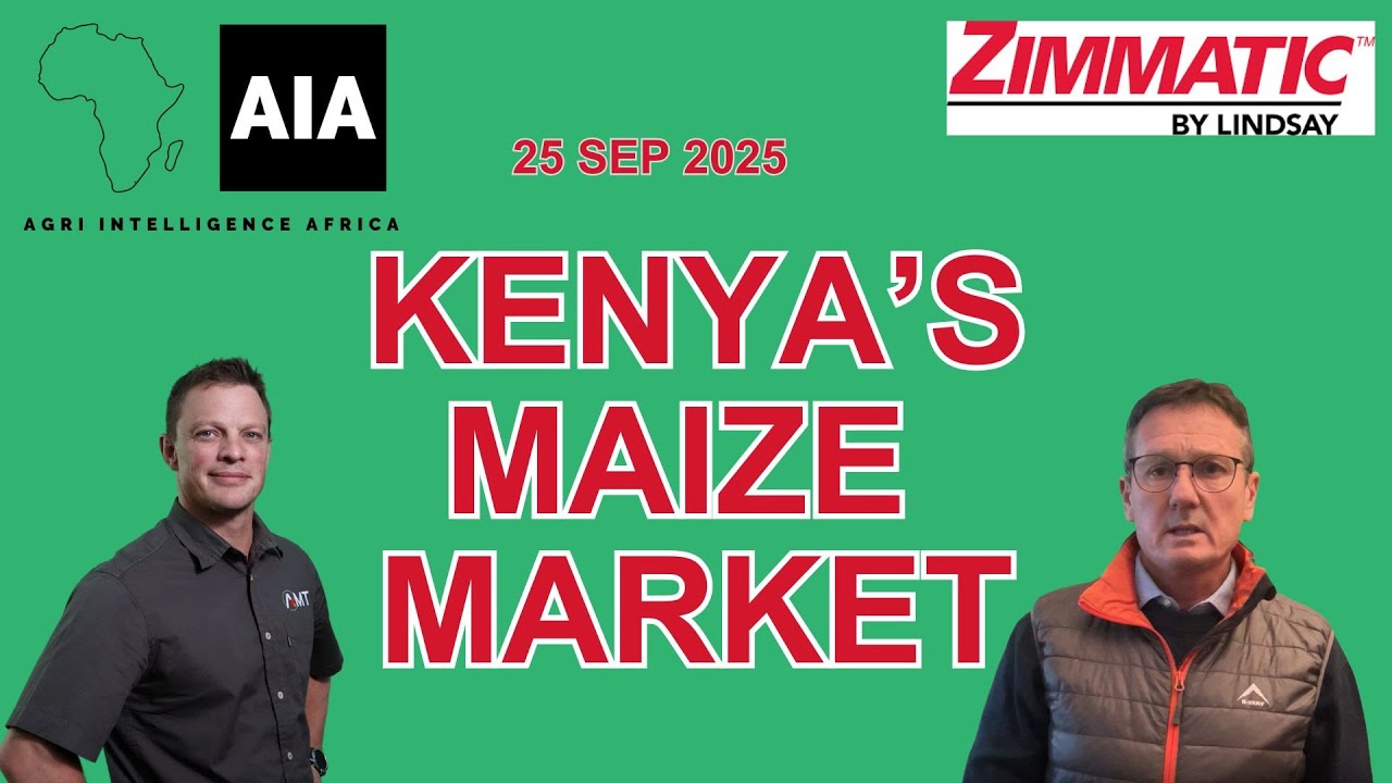 🌍 African Grain Market | 25 Sept 2025🇰🇪 Kenya&rsquo;s Maize Market