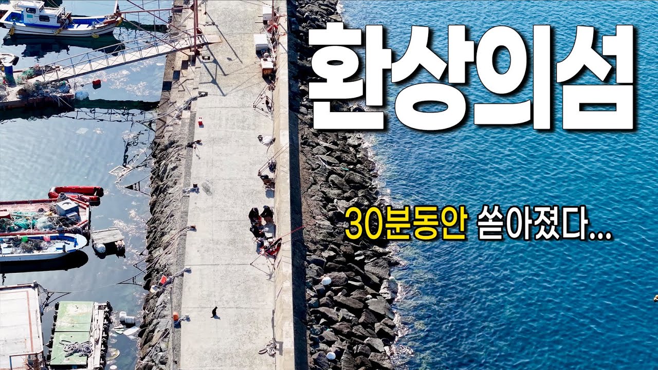 밤이 되자 물고기가 바글바글... 환상의 섬 (욕지도)(1)