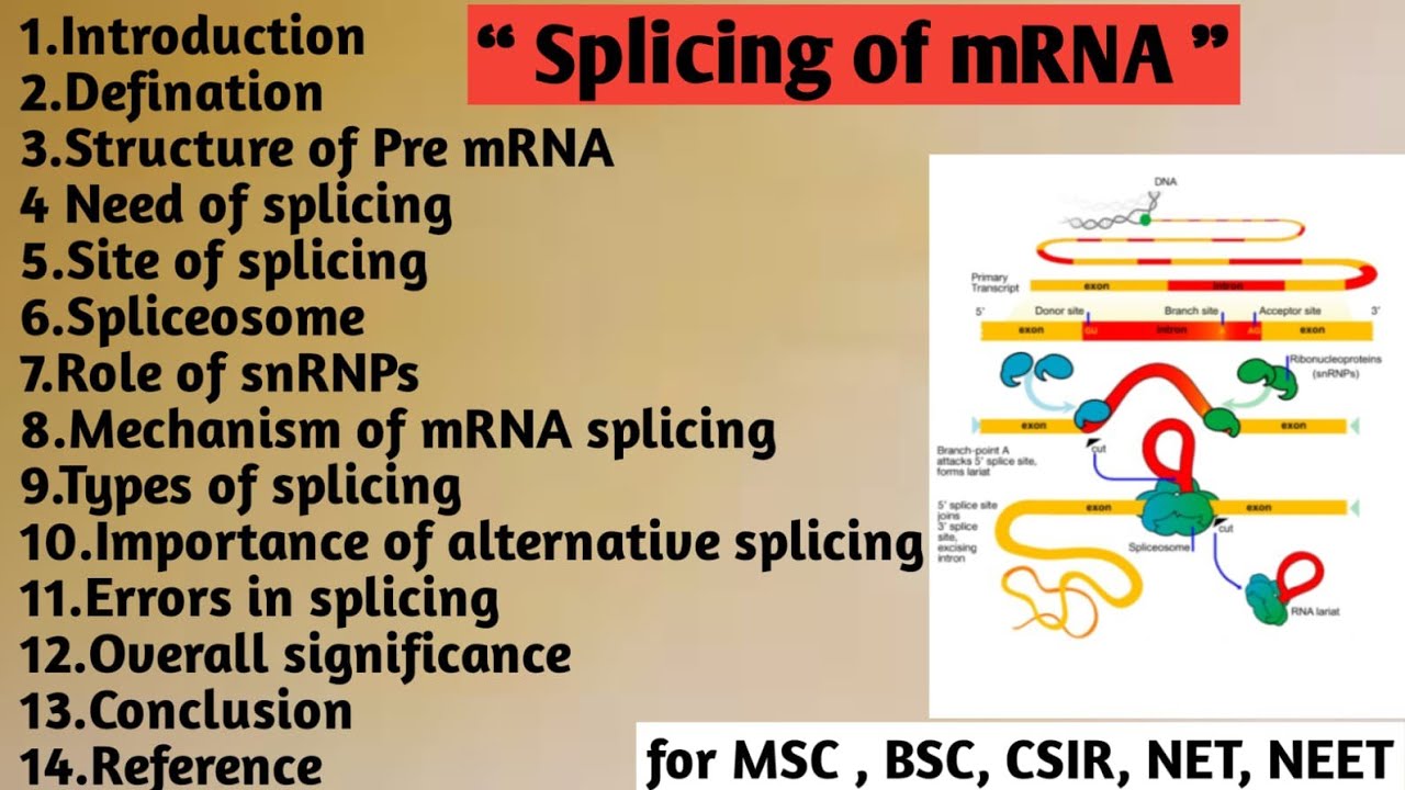 Splicing of mRNA | Structure | Site of splicing | Spliceosome | Role | Mechanism | Type | Importance