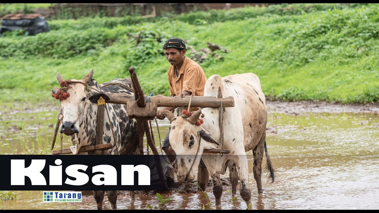 JAI KISAAN Musical Tribute To Farmers Hindi Song