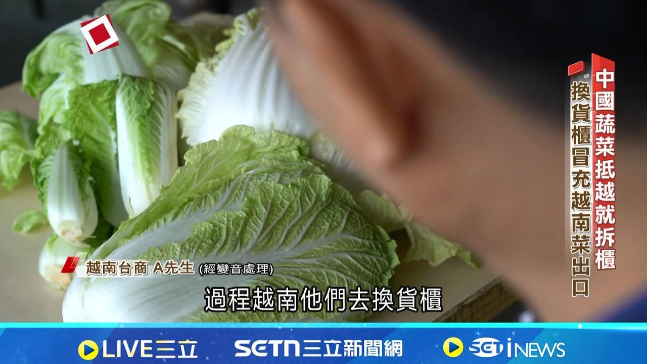 中國菜洗產地真相 換貨櫃.買產證冒充越菜