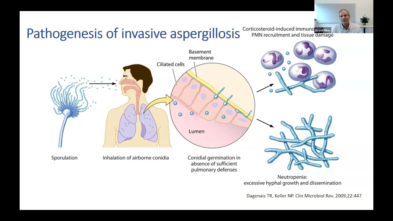 MycoTalks S1 E9 - Scott Filler and Tihana Bicanic