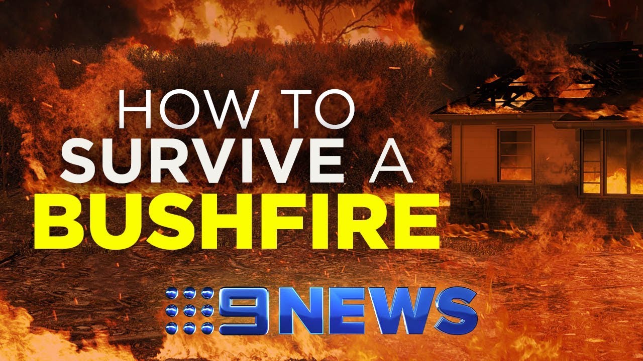 Bushfire danger ratings and warnings explained | Nine News Australia