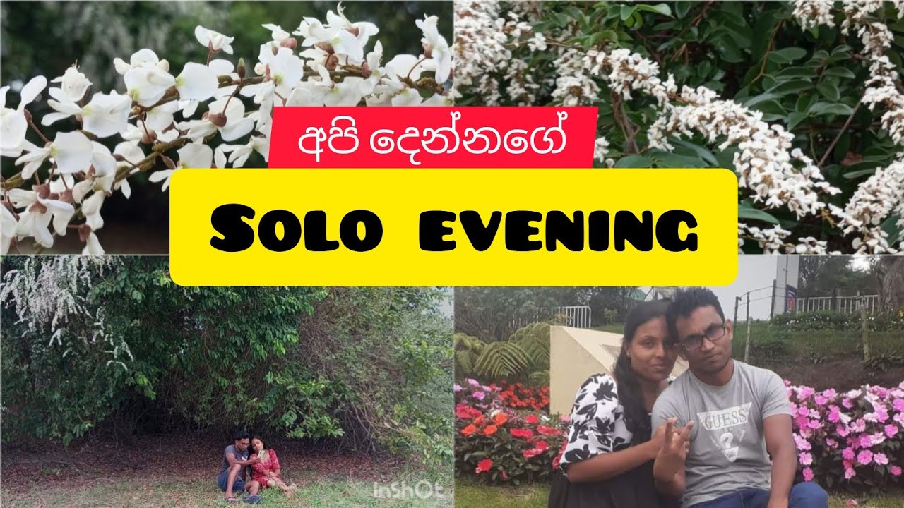 A solo evening that embraced our lovely memories ❤❤❤ආදරේ හැමදාමත් තරුණයි....❤❤❤❤