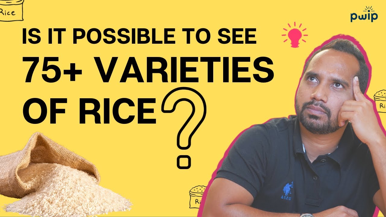 Unbelievable! How Many Types of Rice Can You Name? Watch Now | PWIP