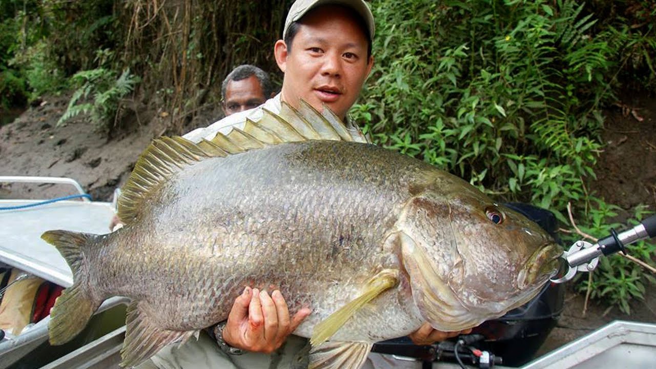 Fish of Paradise: how sport fishing could help people and the environment in Papua New Guinea