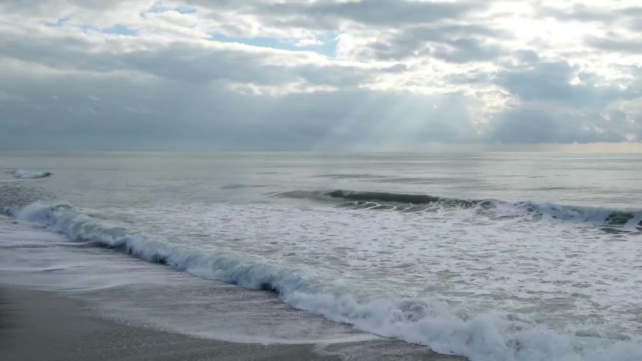Ocean Waves on the Beach with Seagulls | 8 Hours Relaxing Sea Ambience 4K