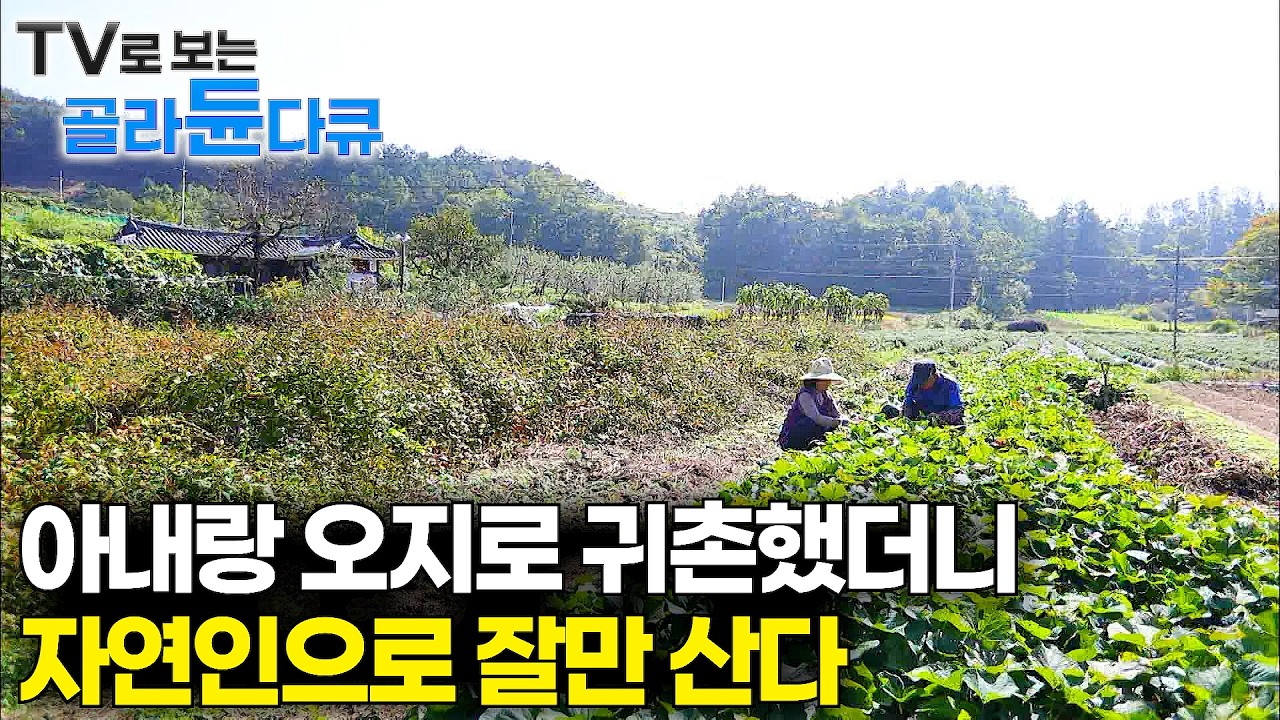 궂은 날씨에 굳이? 섬마을 40년 차 베테랑 어부가 갯벌 나가는 이유🍚 가을에 찾아온 밥도둑 1시간 몰아보기 🍚｜한국기행｜#tv로보는골라듄다큐