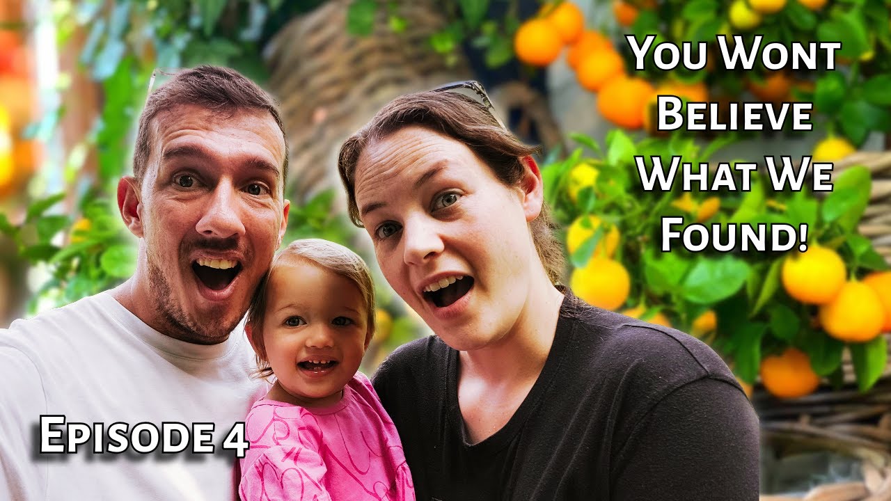We Found KZN’s Largest Fruit Nursery by Accident!