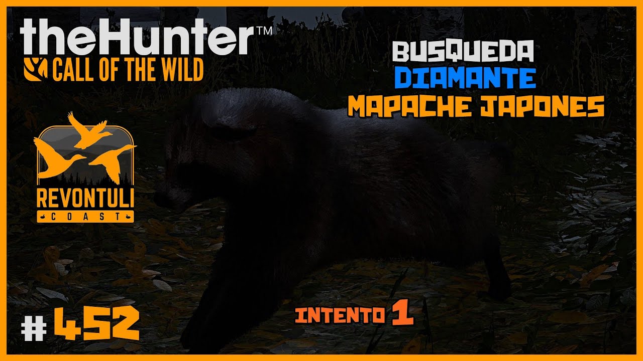 🦌theHunter: CotW #452 | EN BUSCA DEL DIAMANTE DE MAPACHE JAPONÉS (PERRO MAPACHE) INTENTO 1 | Español