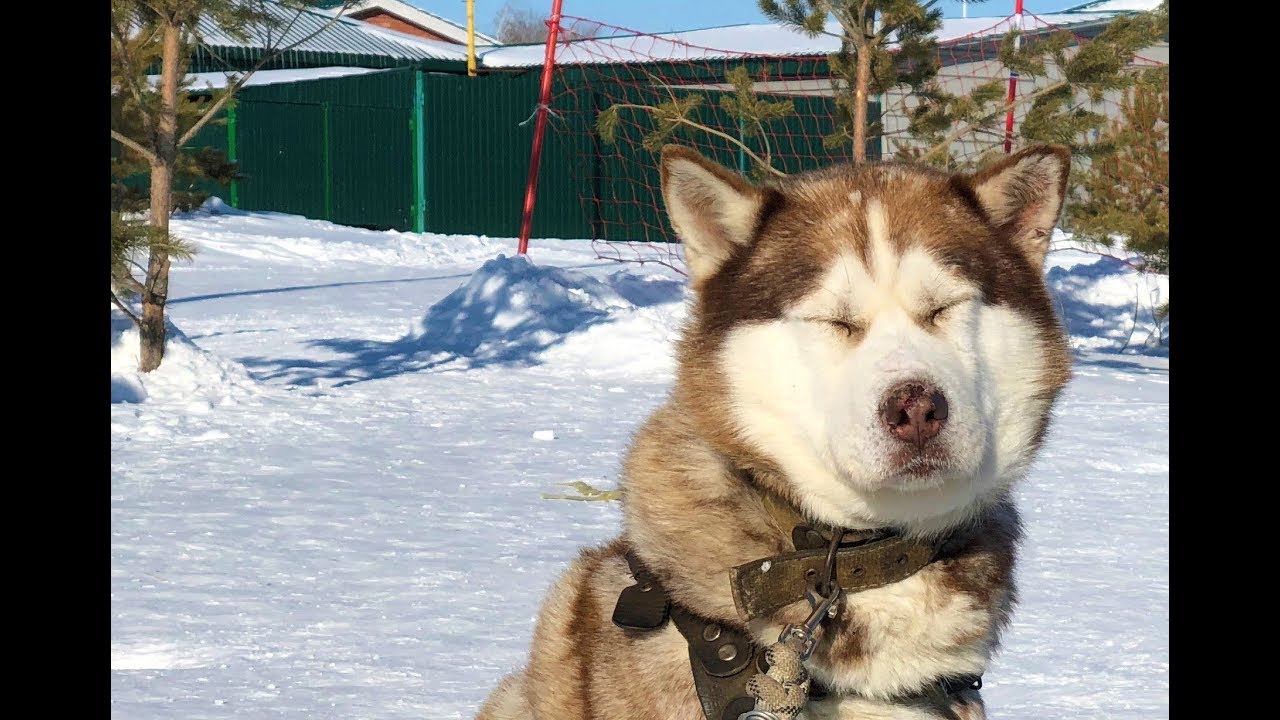 Чем заняться в Астане в мороз -25?
