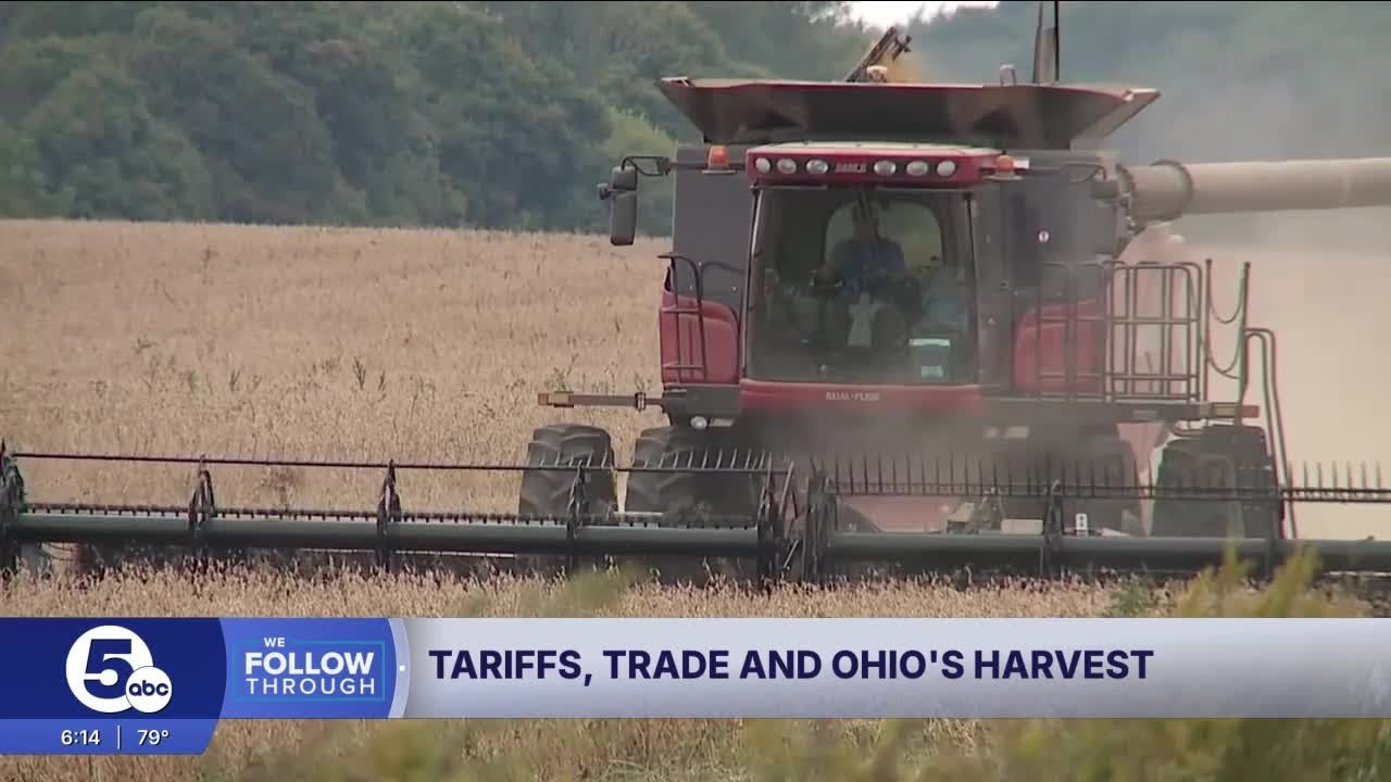 Ohio farmers dealing with the impact after China turns its back on U.S. soybeans