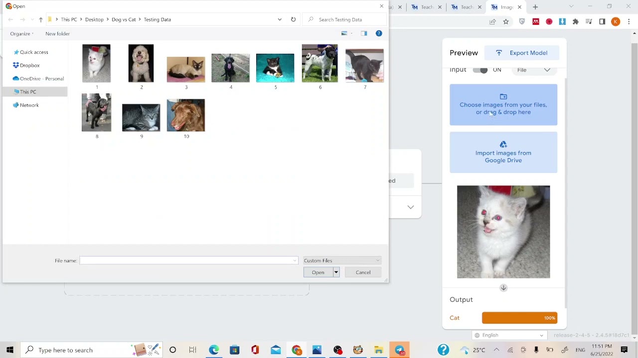 Animal Classifier in PictoBlox
