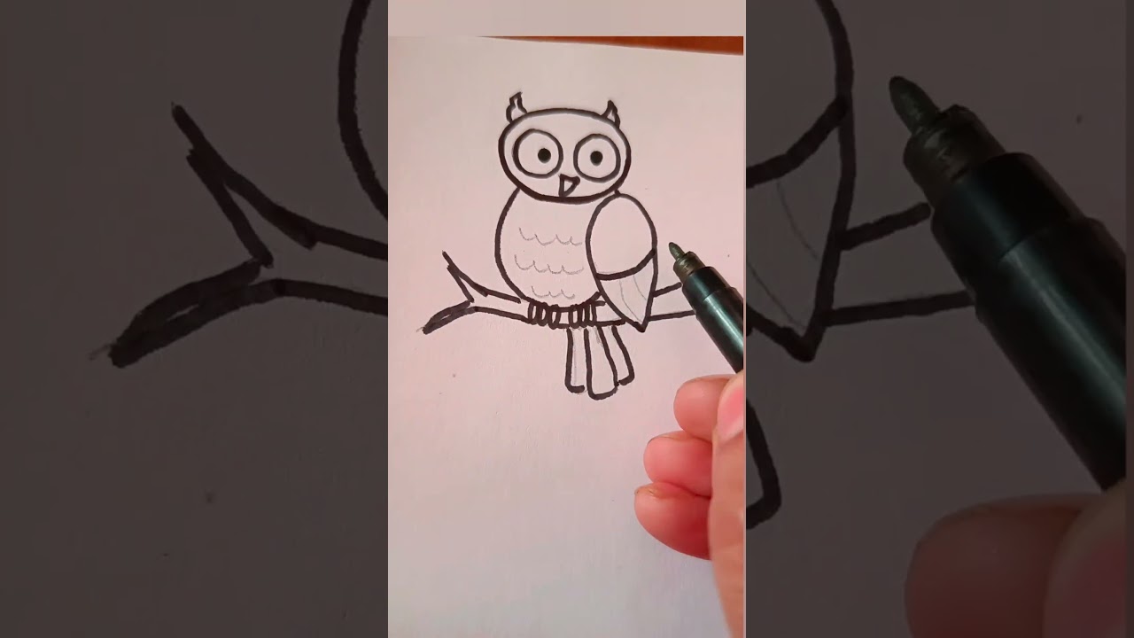 learn more to draw an owl🦉 