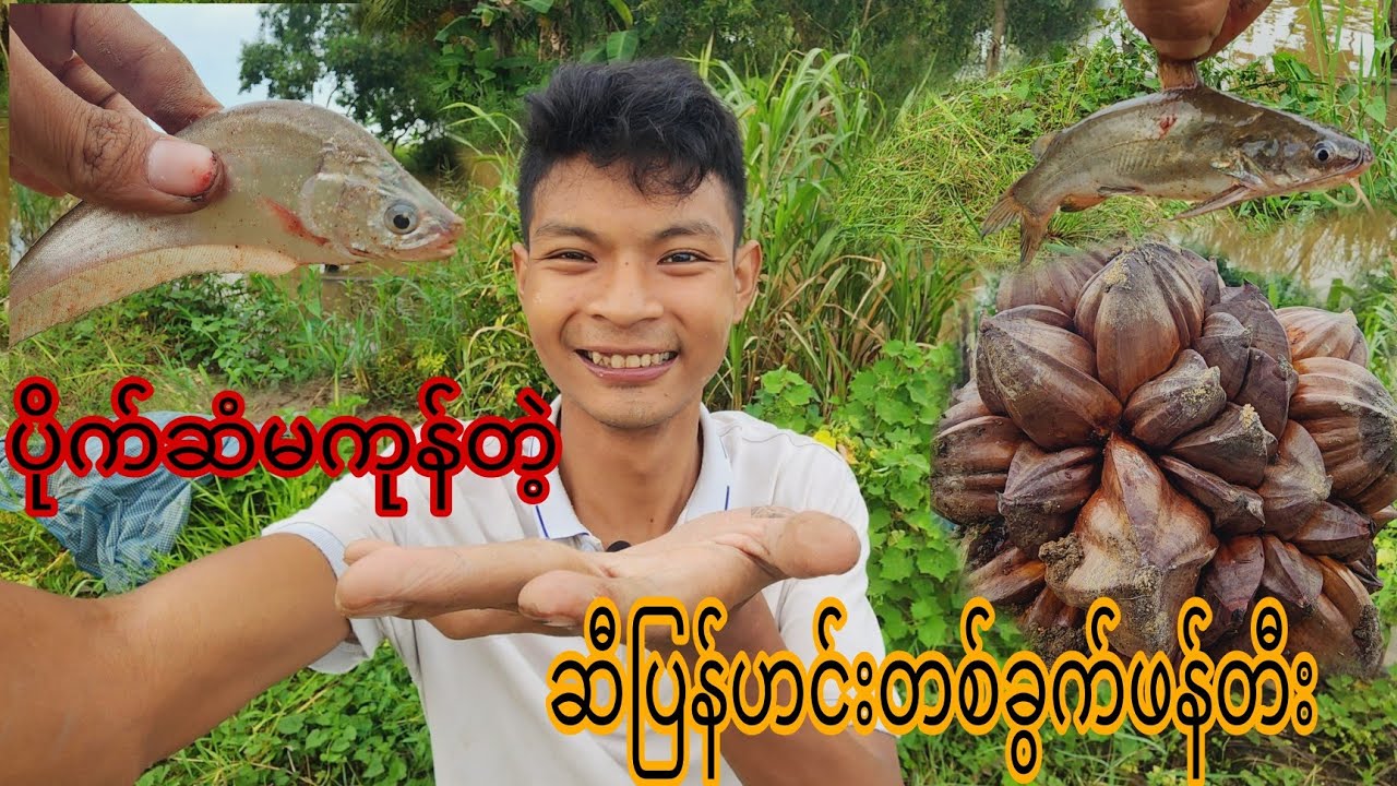 ပိုက်ဆံမကုန်ပဲ ဆီပြန်ဟင်းတစ်ခွက်ရပါ့မလား 😅😅