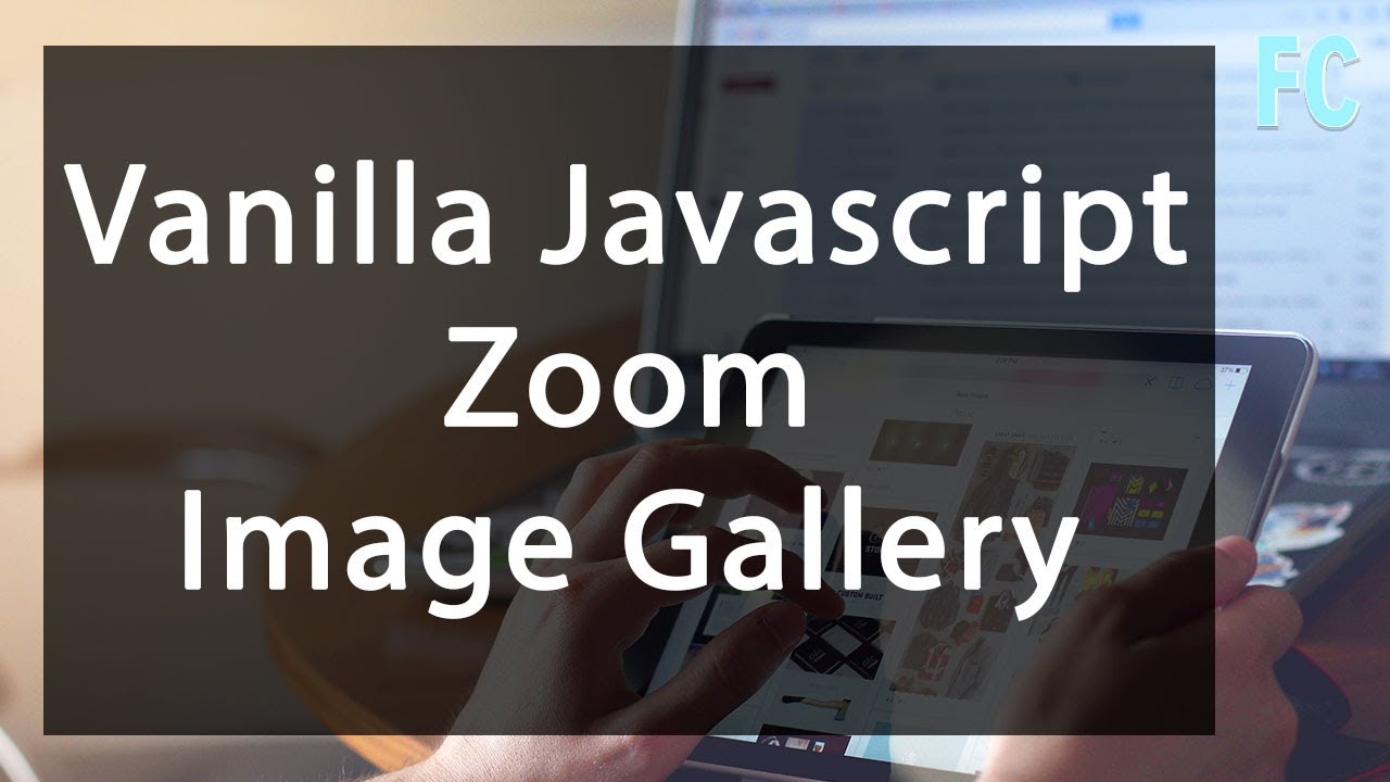 Vanilla Javascript Zoom Image Gallery