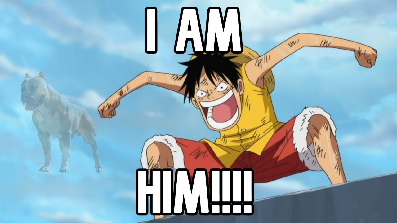 LUFFY IS HIM