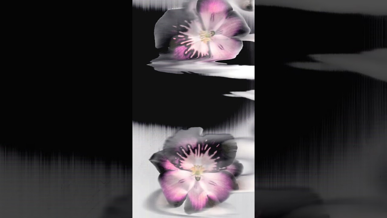 Orchid scanography scanner art 