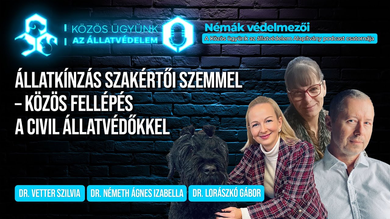 Állatkínzás szakértői szemmel – közös fellépés a civil állatvédőkkel - Némák védelmezői S01E12