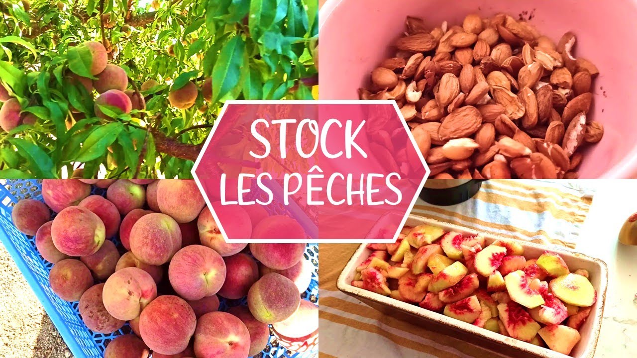 STOCK #3 - Les pêches : glace, sirop, compote, séchées, huile de noyaux.