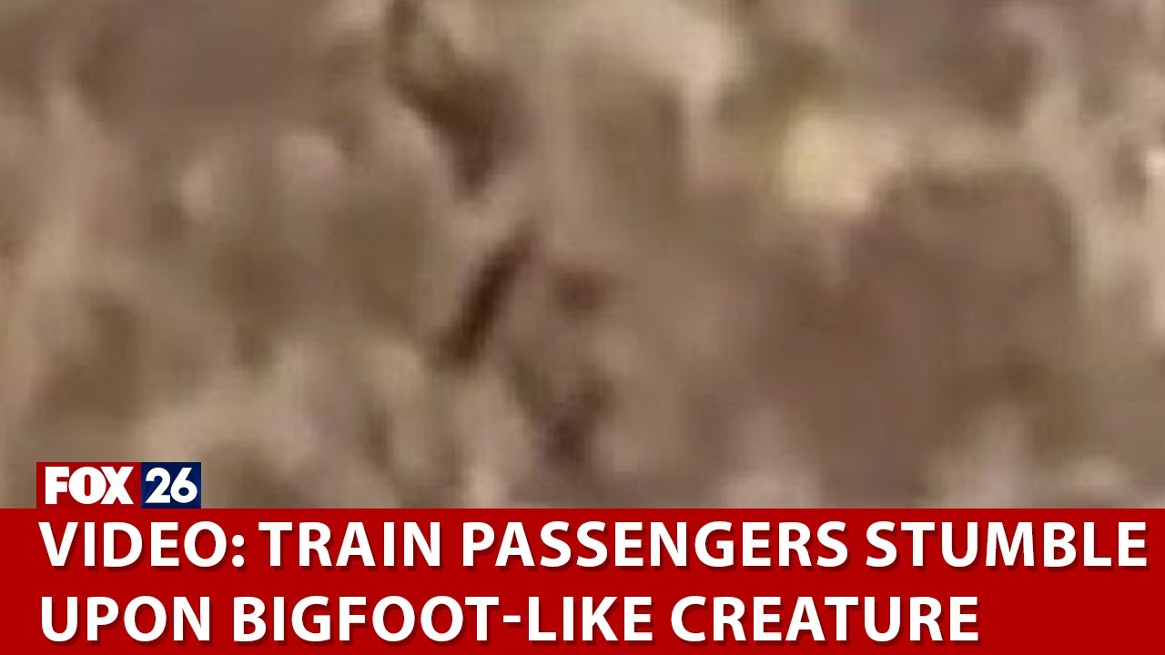 Colorado train passengers stumble upon bigfoot-like creature