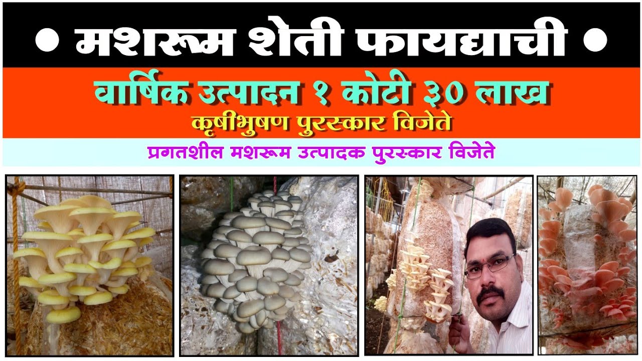 √10 गुंठे जागेत करोडो रुपयांचे उत्पादन देणारी #मशरूम शेती . बियाणे, लागवड, विक्री संपूर्ण माहिती