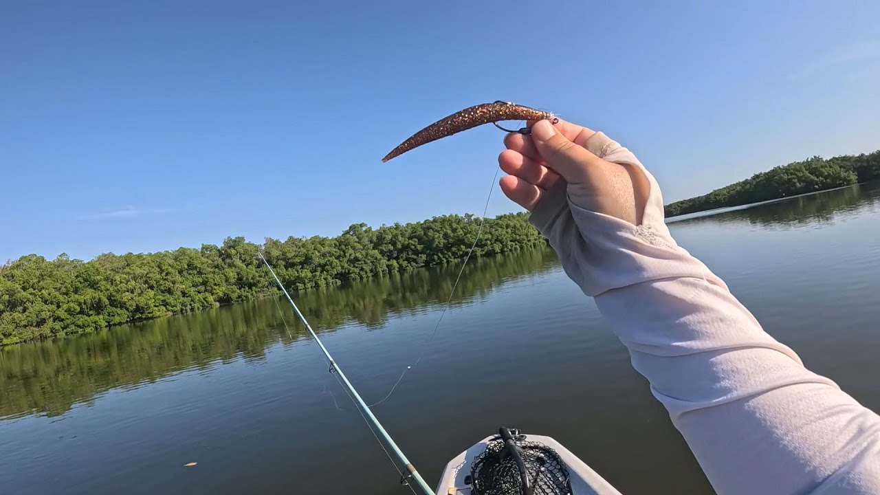 EPIC Redfish action in Tampa Bay using only one lure !
