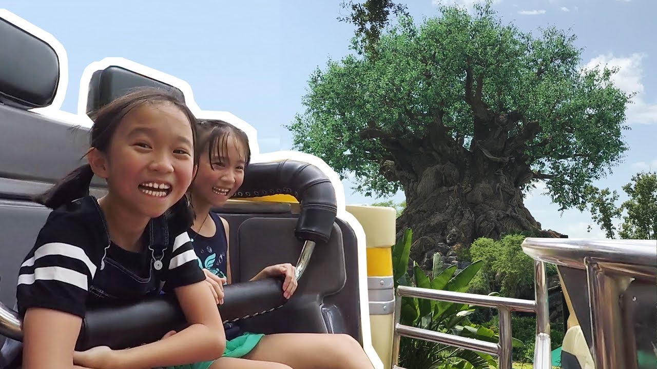 WE WENT TO WALT DISNEY WORLD! (FLORIDA) 🎢 🎠
