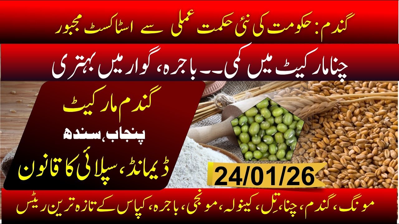 Today Wheat price in pakistan | Moong price | Bajra rate today | Chana rate in punjab | Guar price