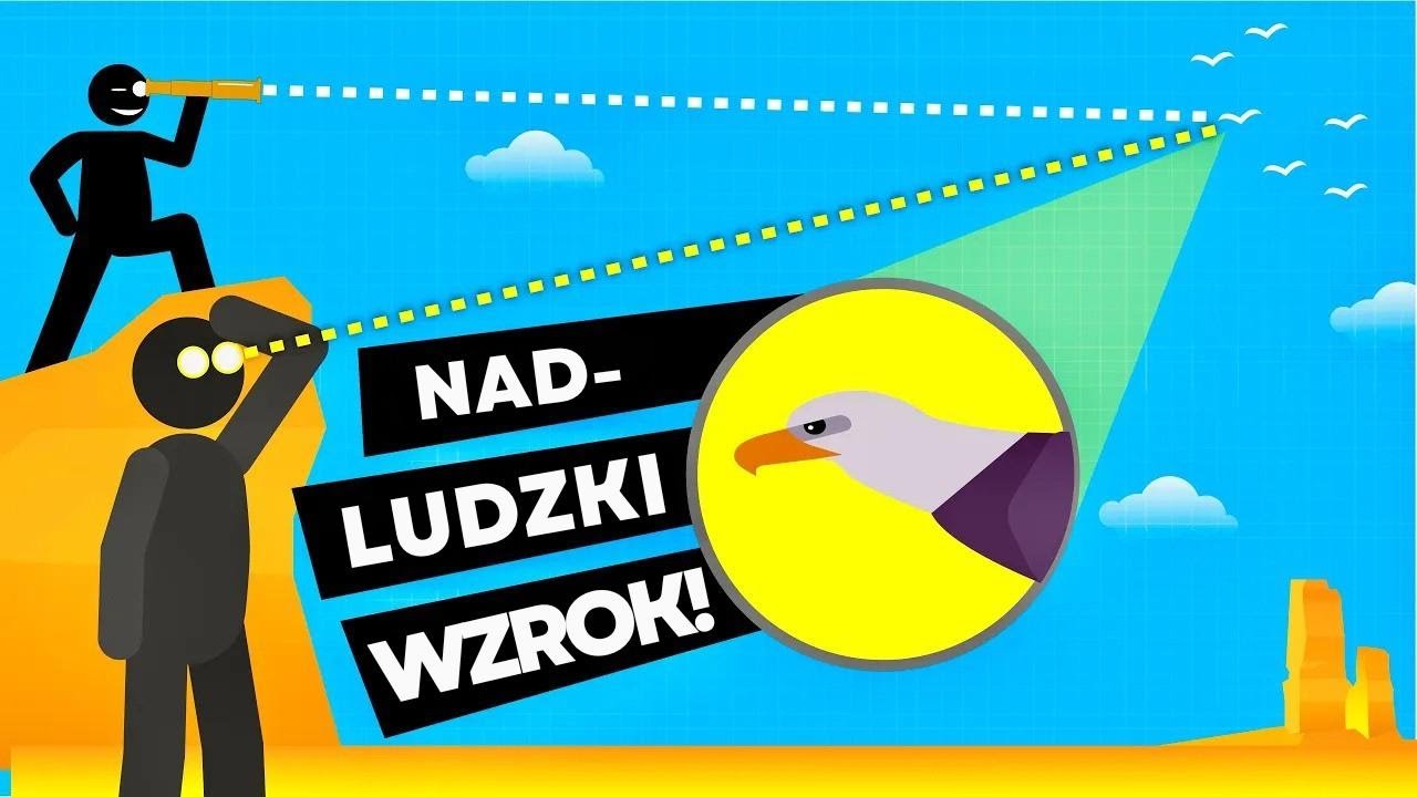 Superwzrok pod lupą! Jak daleko i jak drobno widzimy? Ile kolorów rozróżniamy?