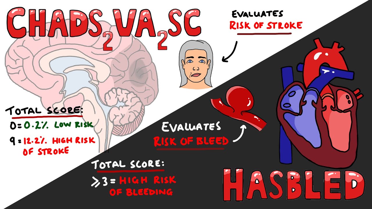 CHADSVASC vs HASBLED - Total Scores & Interpretation (What do they mean?)