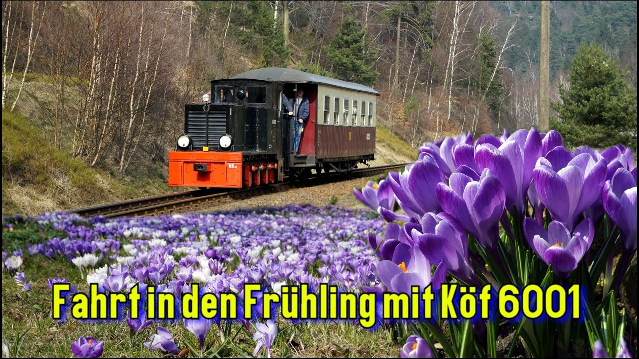 Fahrt in den Frühling mit Köf 6001