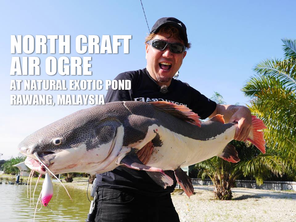 NORTH CRAFT AIR OGRE in Action at Natural Exotic Fishing Pond Rawang (feat. Storm Monstar PE1-3)