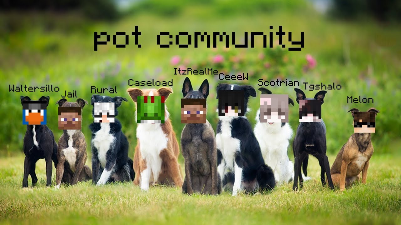 dumpstered pot community
