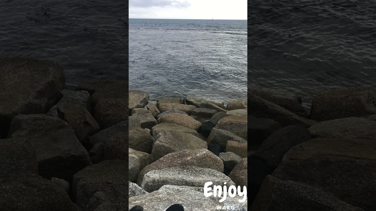 Enjoy 