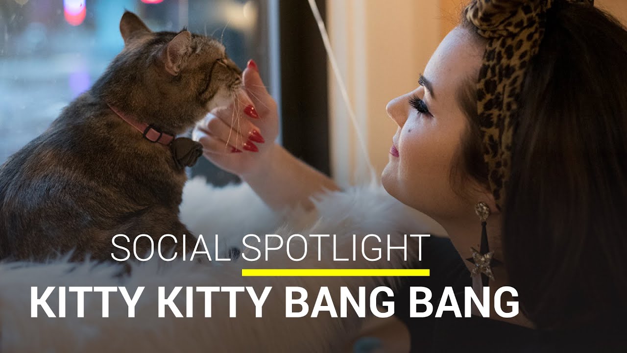 Kitty Kitty Bang Bang | Wikileaf Social Spotlight