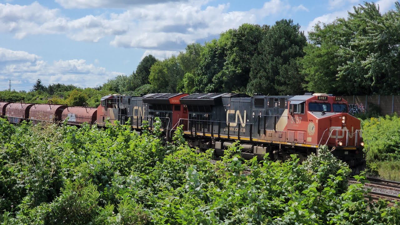 Tuesday Morning at Tansley &bull; August 20, 2024