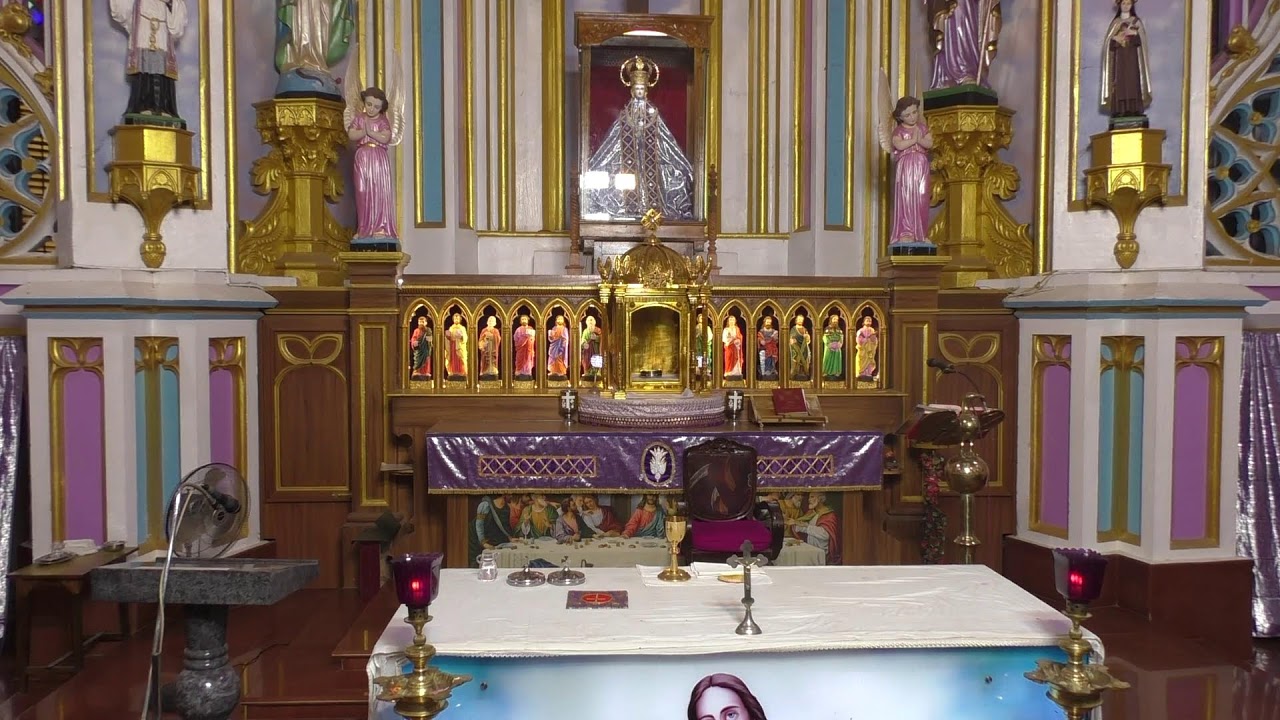 ༺♰༻ 🅛🅘🅥🅔 𝑽𝒂𝒅𝒂𝒗𝒂𝒊 𝑷𝒂𝒓𝒂𝒍𝒐𝒈𝒂 𝑴𝒂𝒕𝒉𝒂 - Daily Mass in Tamil -  2025 - திருப்பலி