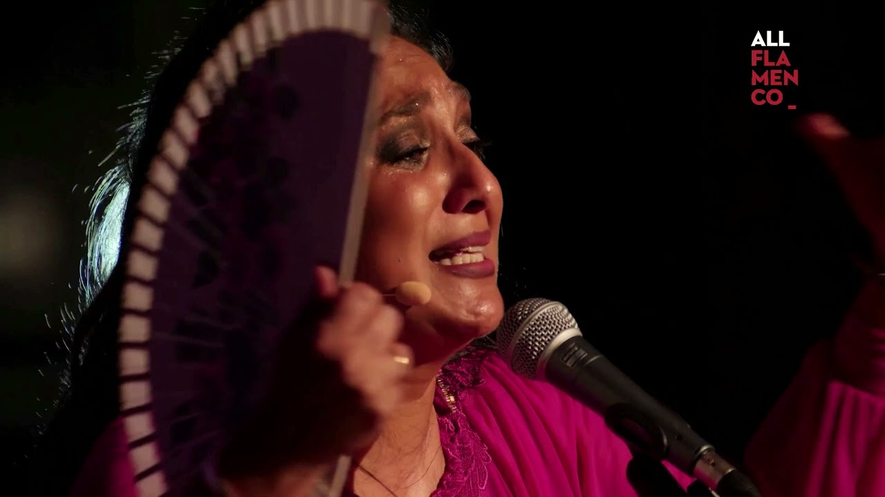 10 años de La Isla Ciudad Flamenca. Programas especiales en ALL FLAMENCO