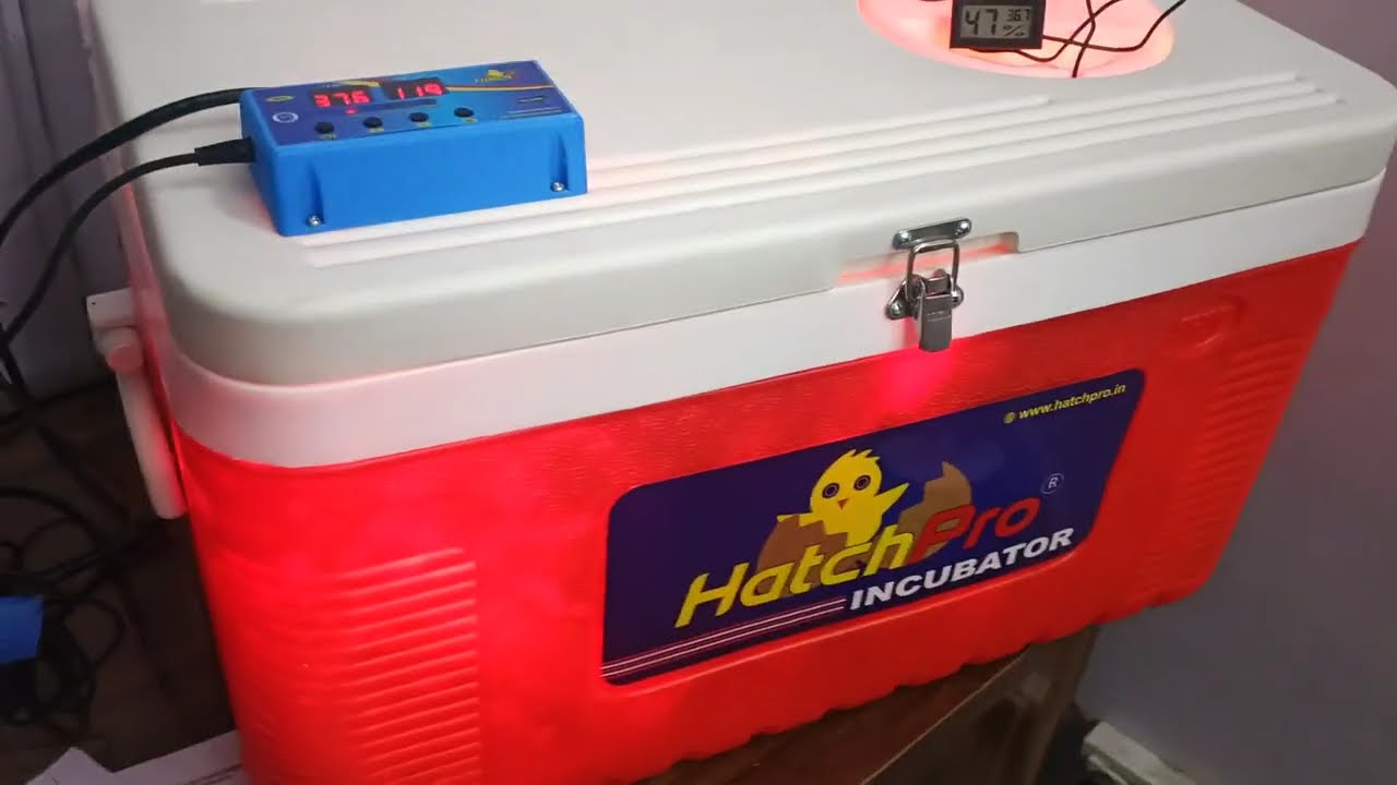 How to use hatchpro 50 egg incubator automatic with new rb20 controller