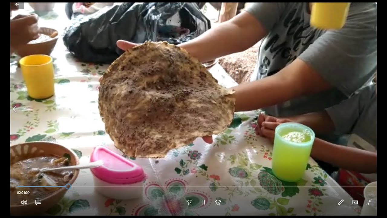 Degustando la comida de Amoltepec, Oaxaca. Episodio 2.