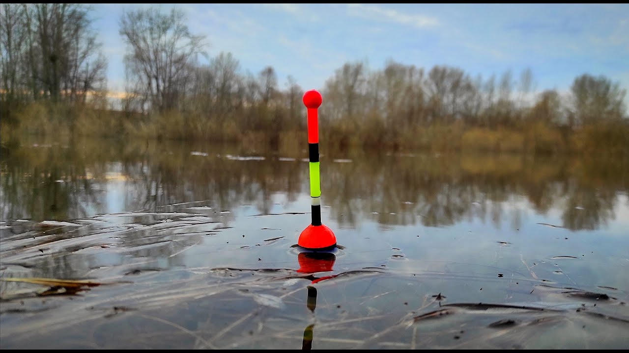 НАЛОВИЛ КАКОЙ-ТО УЖАС! Ехал за плотвой но ВЫШЛО ОНО! Рыбалка на поплавок 2025.