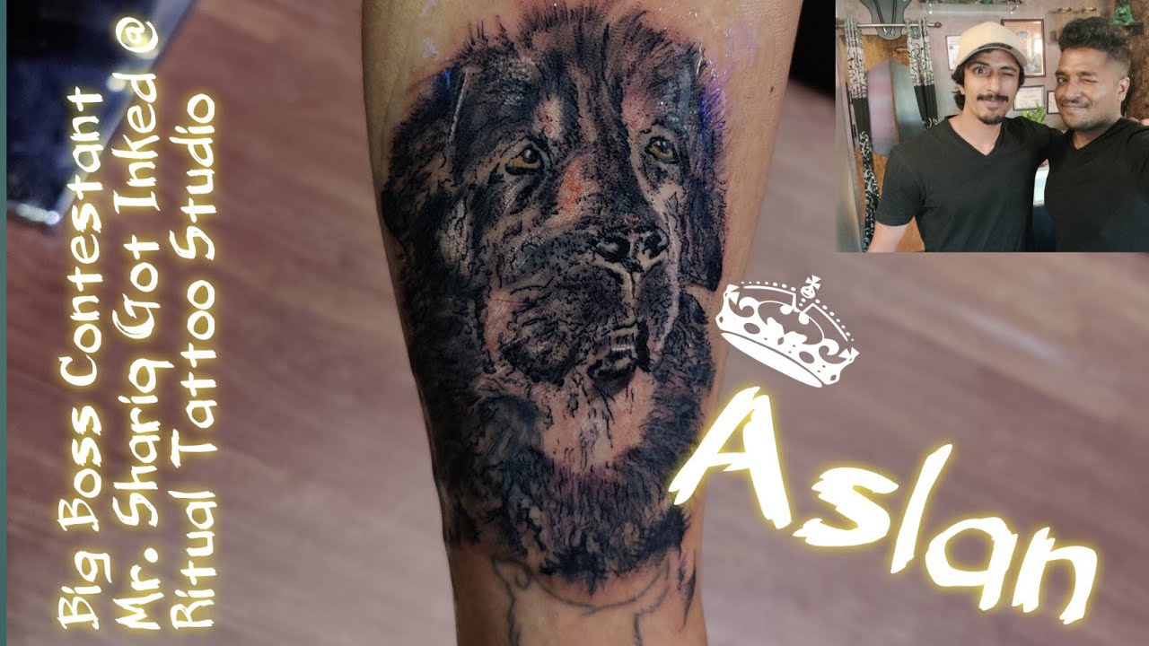 Big Boss Contestant Mr. Shariq Getting Inked on his Pet 👑Aslan Potrait 